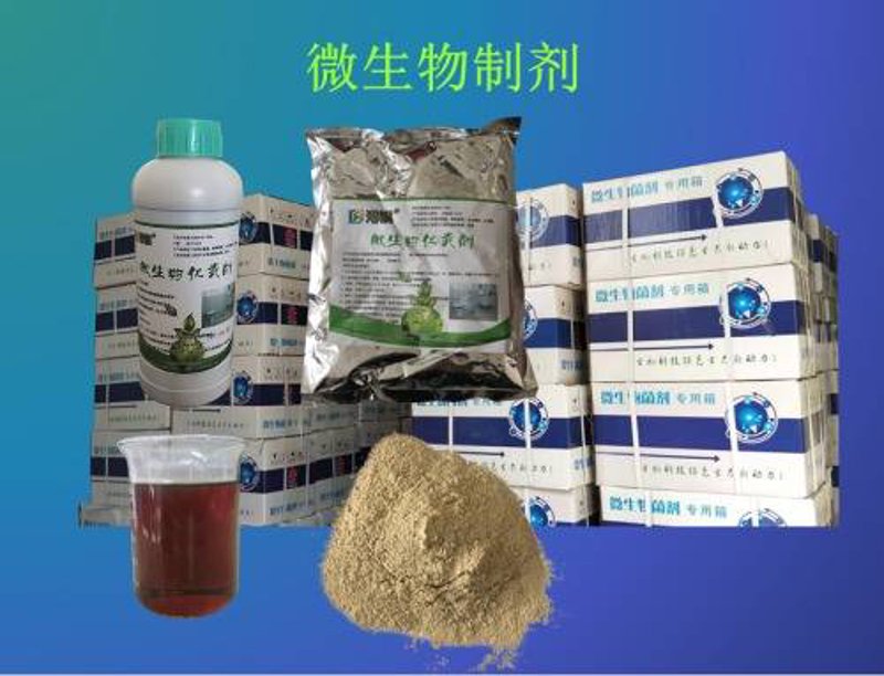 未来五年,厦门检验检疫技术中心如何引领行业发展?