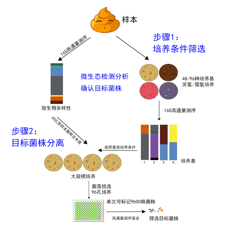 检验检疫技术中心是干嘛的？让我们一起深入了解！